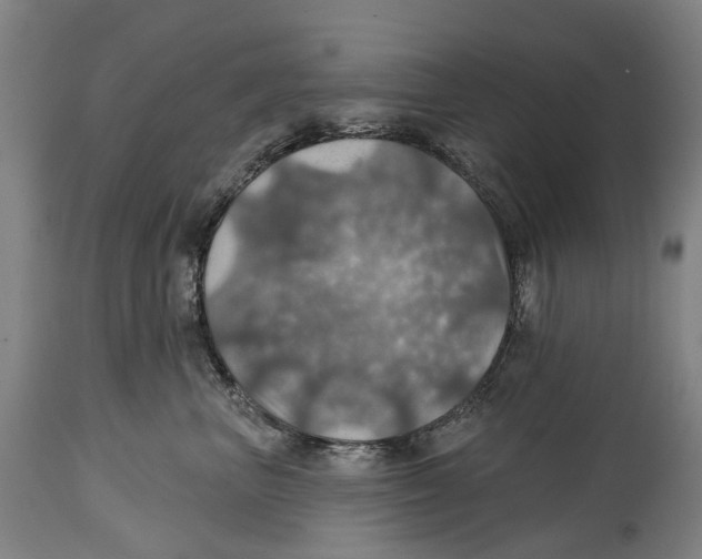 X0000114420667200911131452