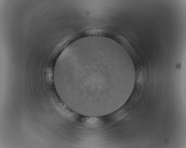 X0000114420669200911131452