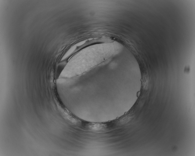 X0000114420670200911131452