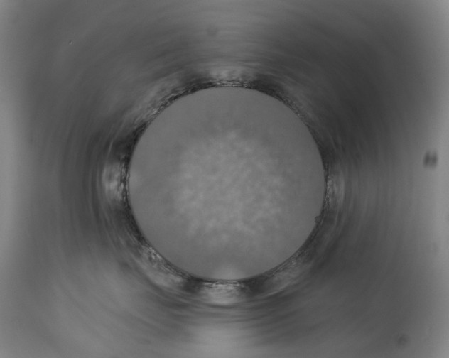 X0000114420671200911131452