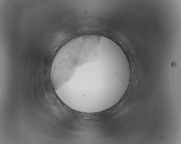 X0000114420672200911131452