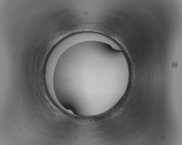 X0000114420673200911131451