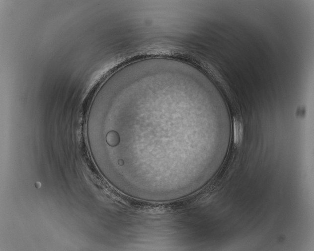 X0000114420675200911131451