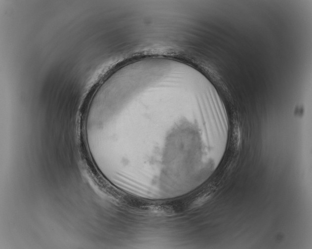 X0000114420678200911131451