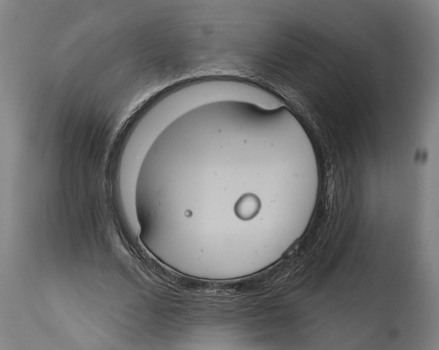 X0000114420680200911131451