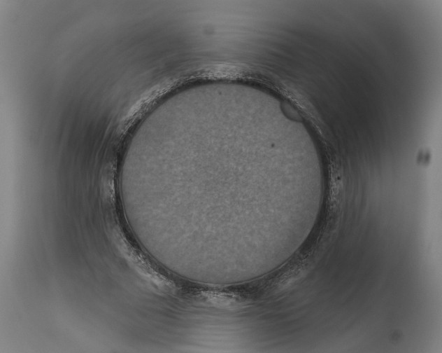 X0000114420681200911131451