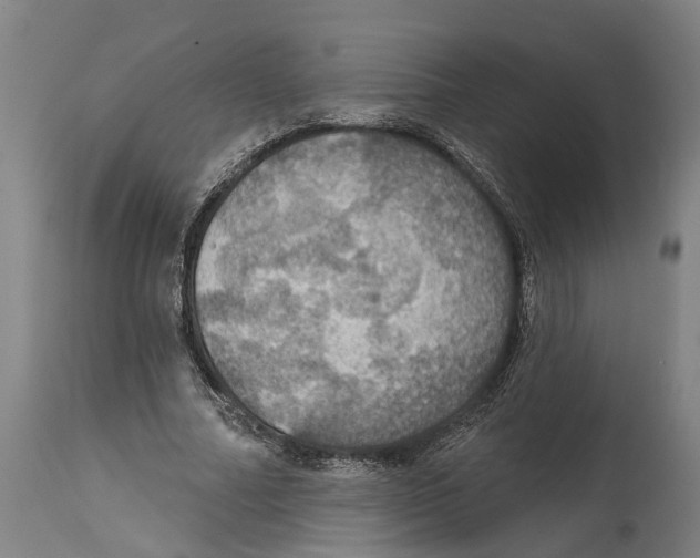 X0000114420682200911131451