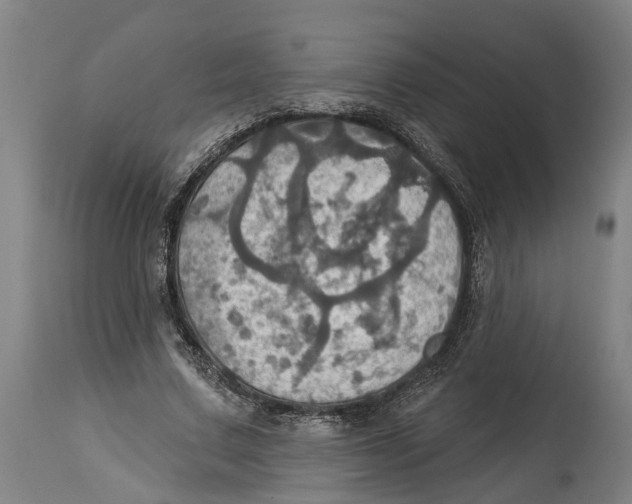 X0000114420683200911131451