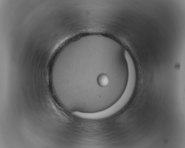 X0000114420684200911131451