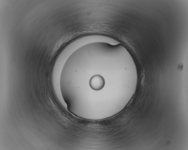 X0000114420685200911131451