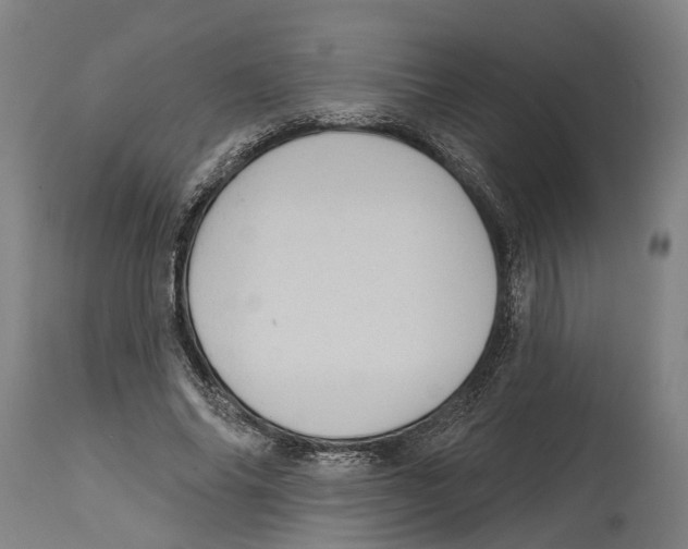 X0000114420686200911131451