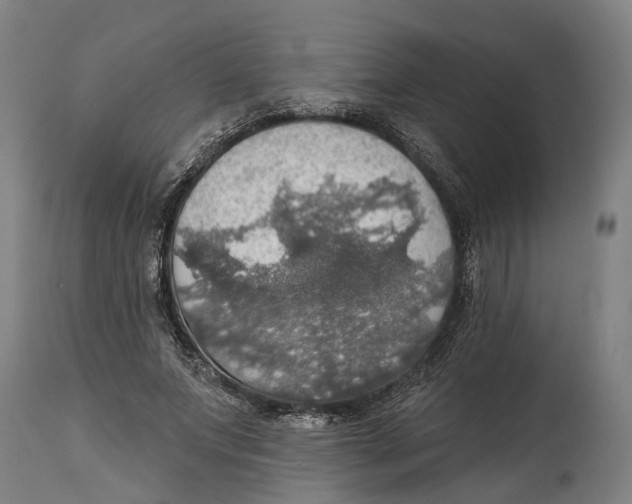 X0000114420687200911131451