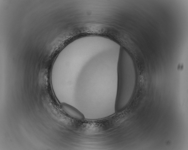 X0000114420688200911131451