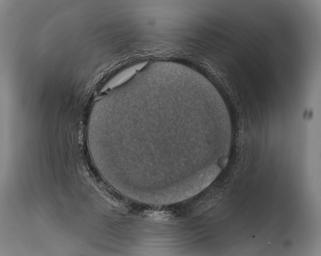 X0000114420689200911131451