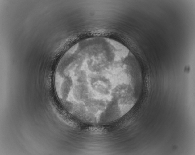 X0000114420690200911131451