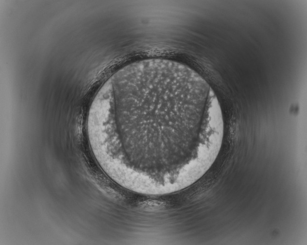 X0000114420691200911131451