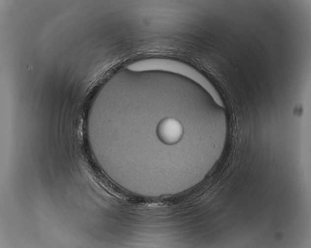 X0000114420692200911131451