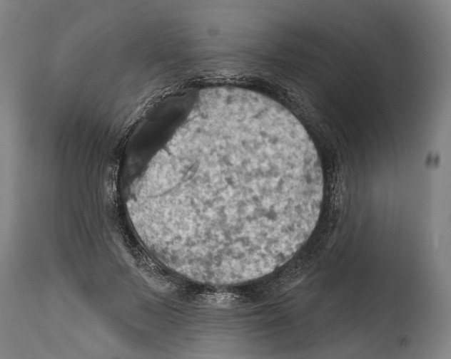 X0000114420695200911131451