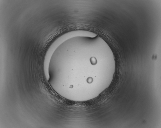 X0000114420696200911131451