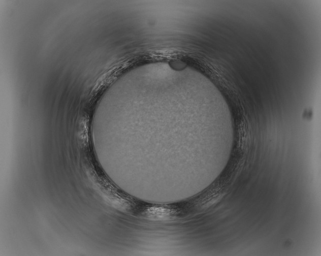 X0000114420699200911131451