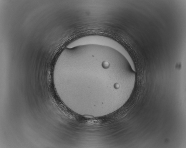 X0000114420700200911131451