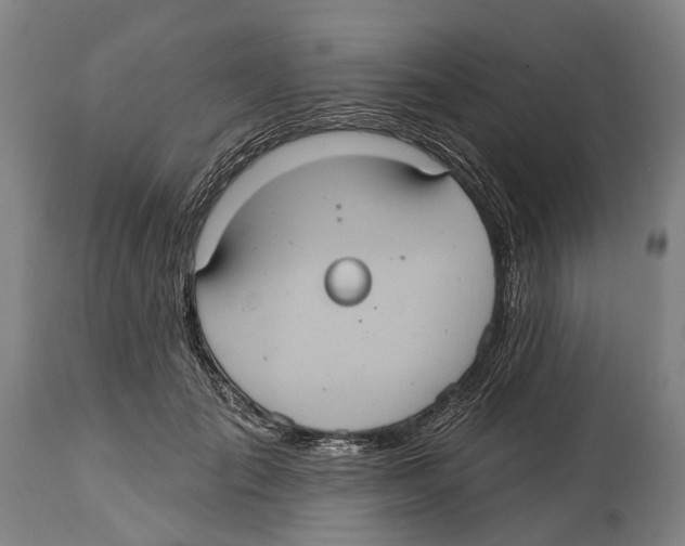 X0000114420701200911131451