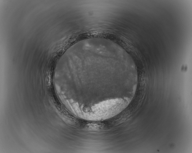 X0000114420703200911131451