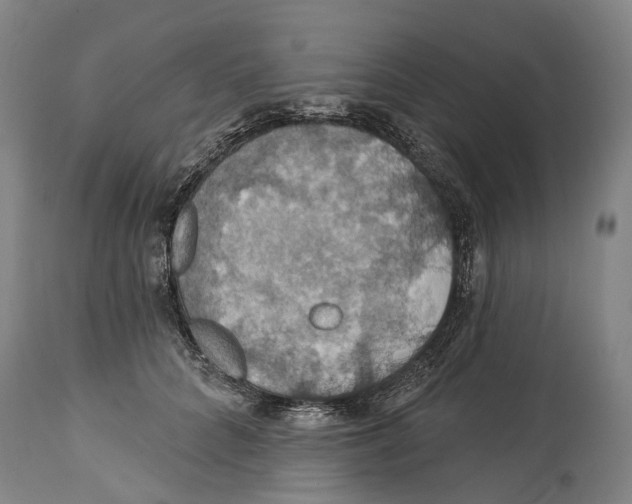 X0000114420704200911131451