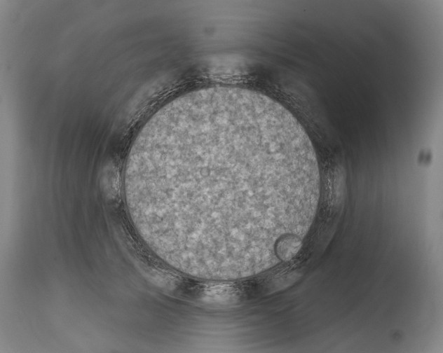 X0000114420705200911131451