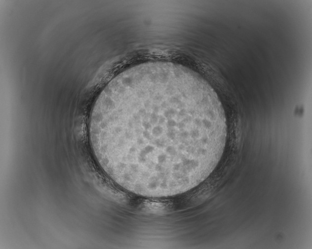 X0000114420706200911131451