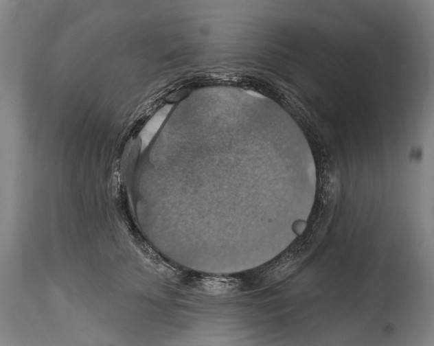 X0000114420707200911131451