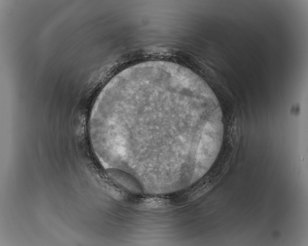 X0000114420708200911131451