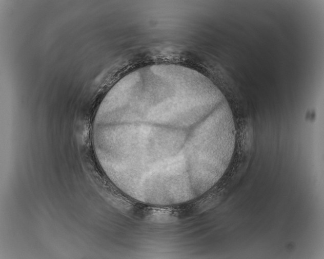 X0000114420709200911131451