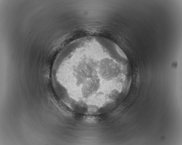 X0000114420710200911131451