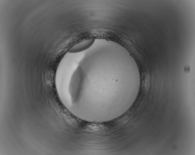 X0000114420712200911131451