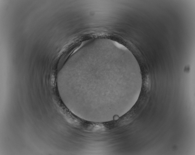 X0000114420715200911131451