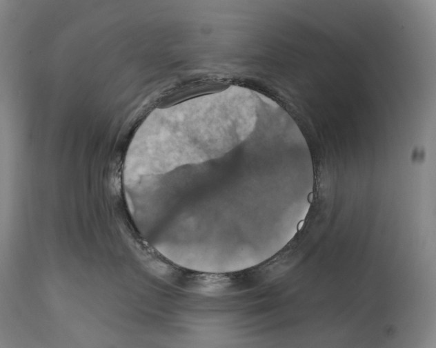 X0000114420719200911131451