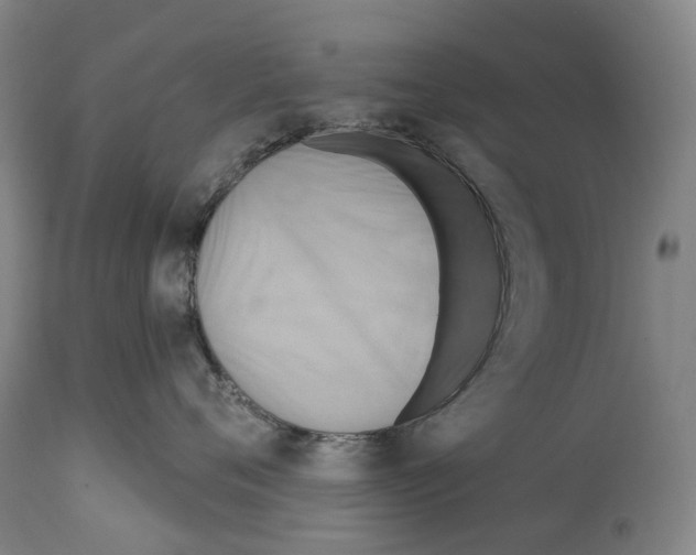 X0000114420720200911131451