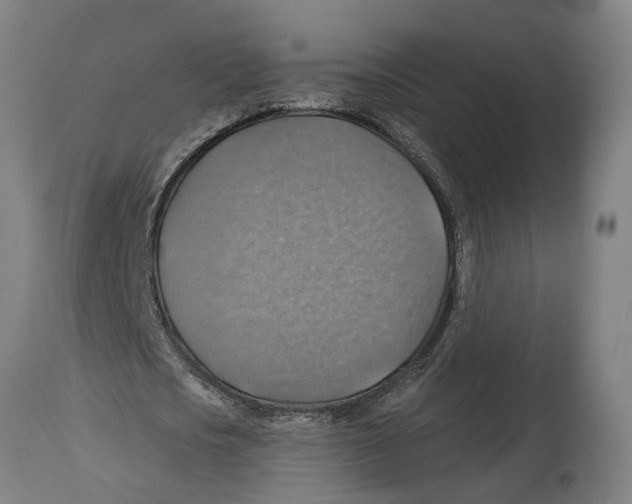 X0000114420721200911131450