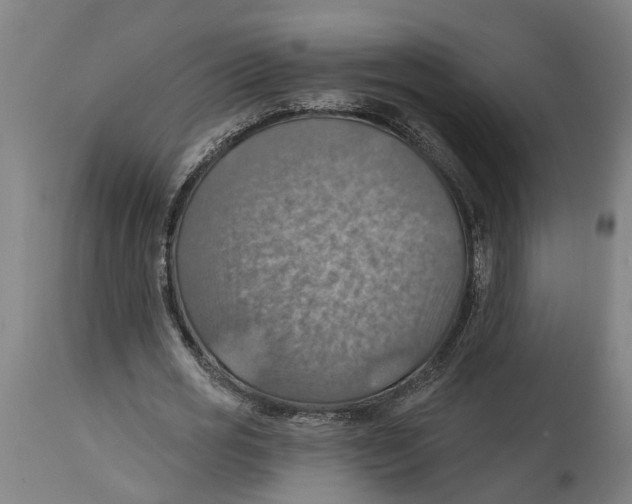 X0000114420725200911131450