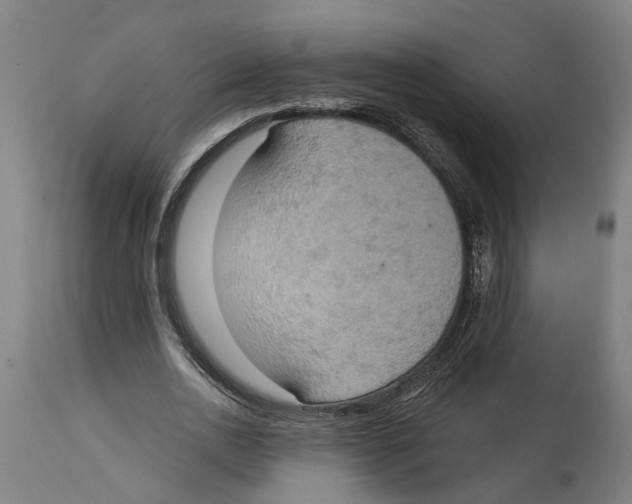 X0000114420726200911131450