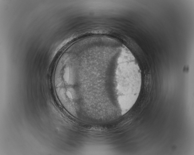 X0000114420727200911131450