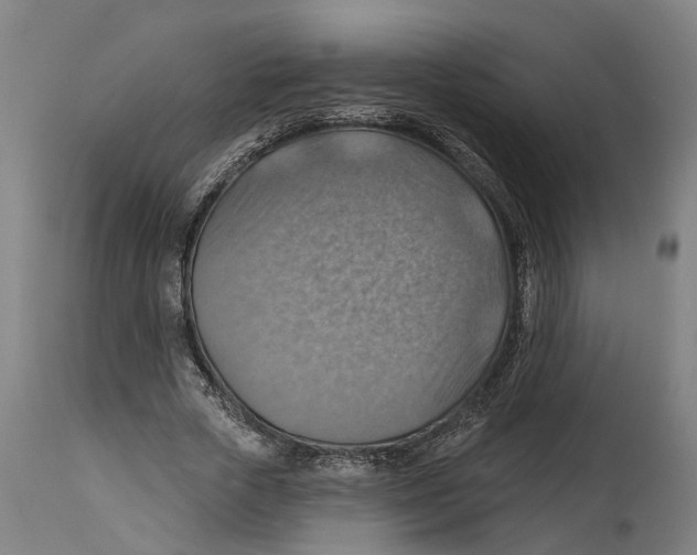 X0000114420729200911131450