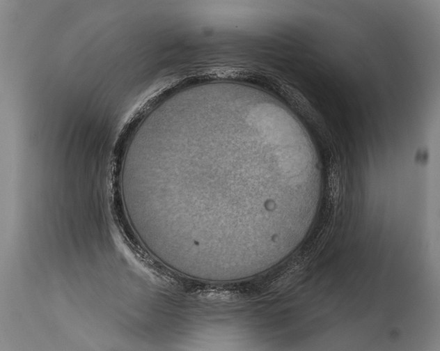 X0000114420730200911131450