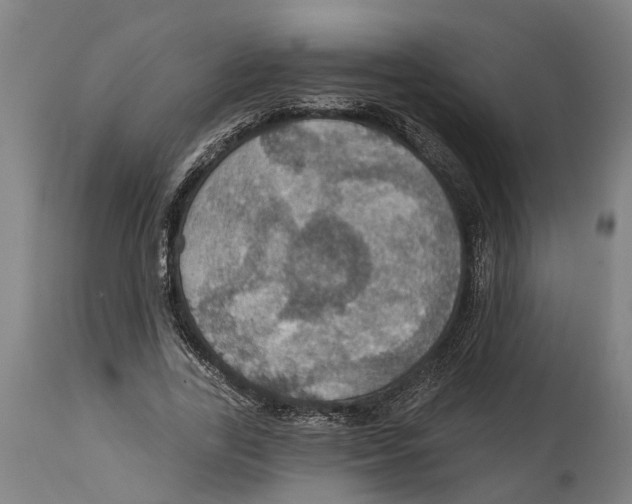 X0000114420731200911131450