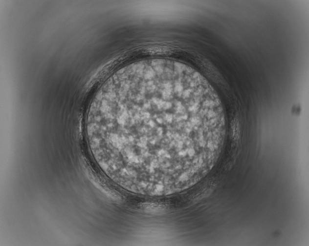 X0000114420733200911131450