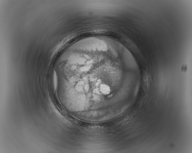 X0000114420734200911131450