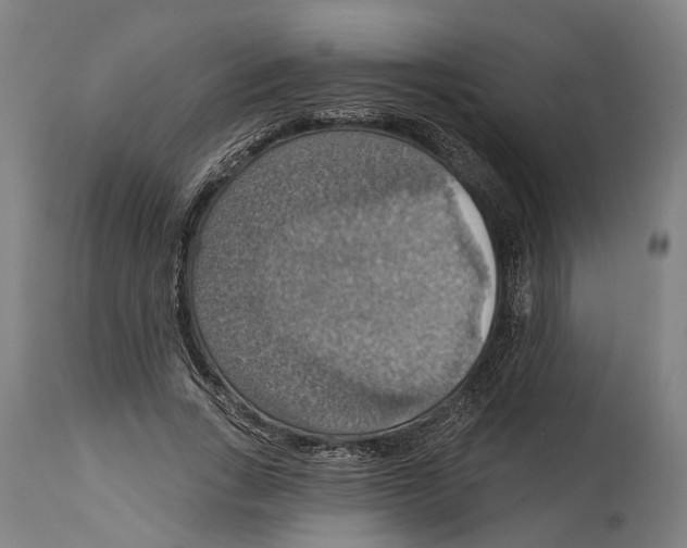 X0000114420735200911131450