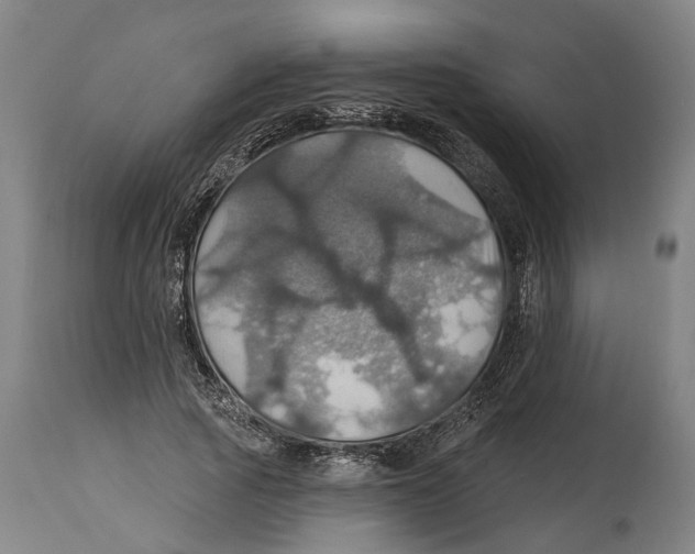 X0000114420737200911131450