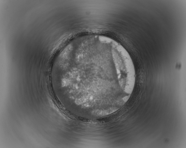 X0000114420738200911131450